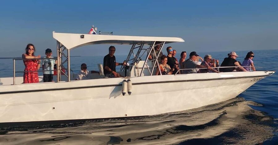 Umag: Dolphinwatching & sunset panorama tour - Key points to know before you book