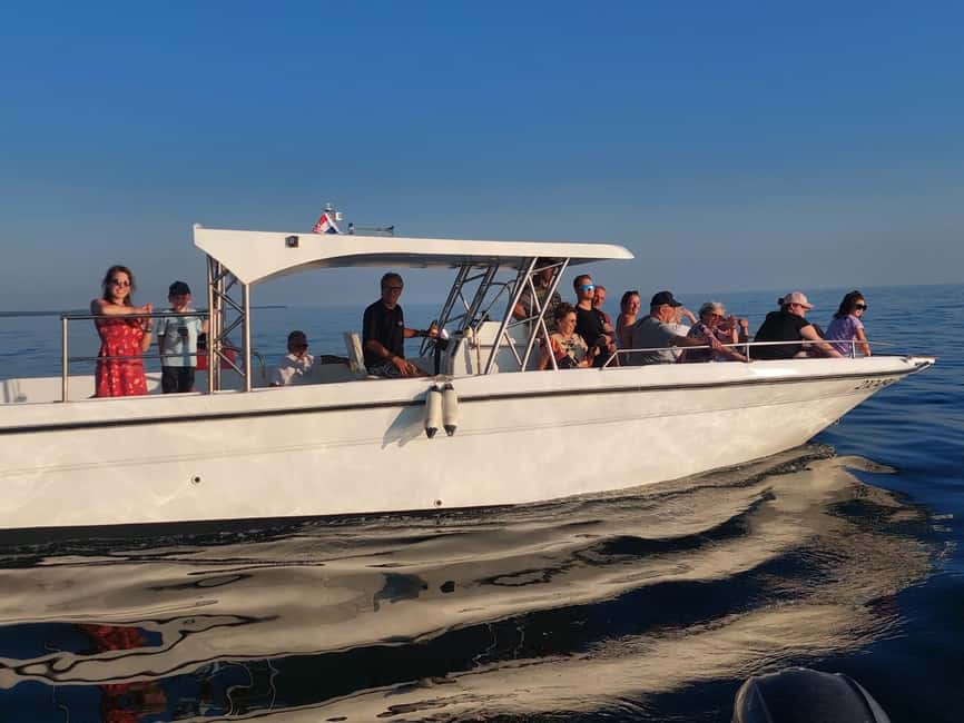 Umag: Dolphinwatching & sunset panorama tour - The ride toward the dolphin protection area