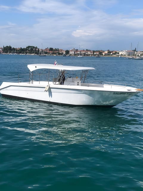 Umag: Dolphinwatching & sunset panorama tour - Why the boat matters after the dolphins disappear