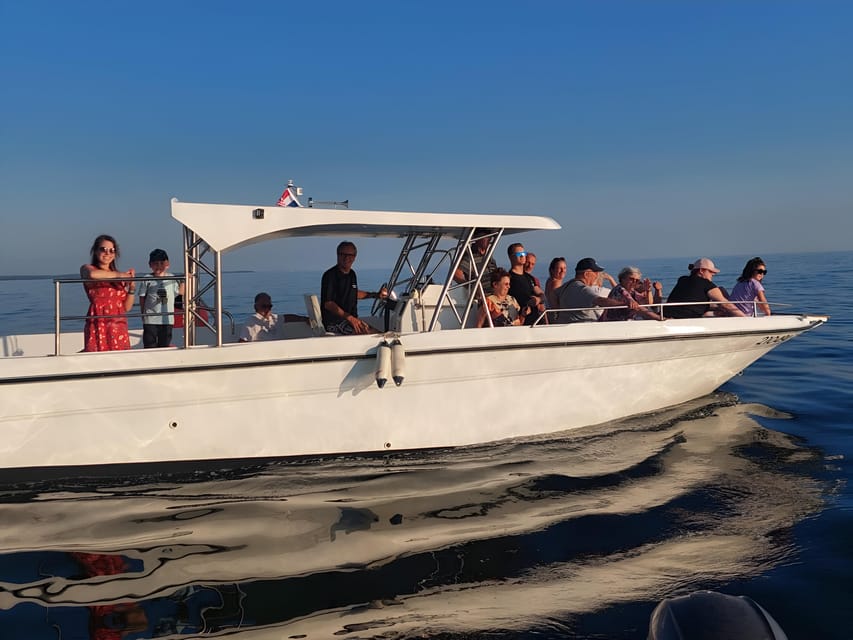 Umag: Snorkeling&dolphinwatching morning tour adventure - The ride back to Umag