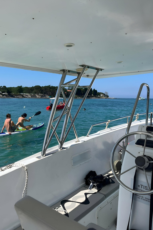 Umag: Snorkeling&dolphinwatching morning tour adventure - What the $47 price includes