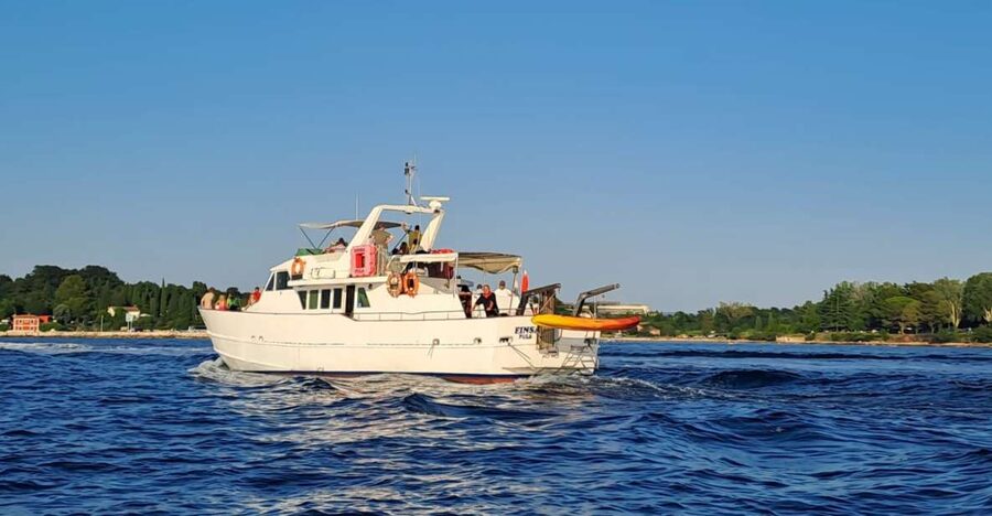 Umag: Sunset Cruise with Dolphin Spotting - Searching the sea for dolphins