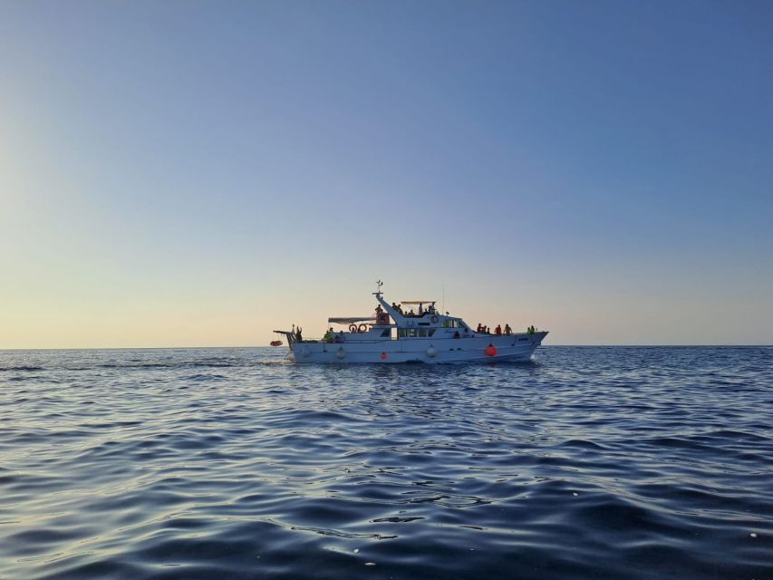 Umag: Sunset Cruise with Dolphin Spotting - Passing Savudrija lighthouse
