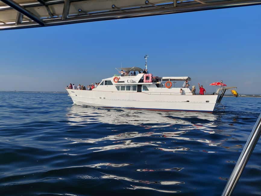 UMAG: Swimming&Panorama / Welcome Drink and Dolphin spotting - Key points to know before you book