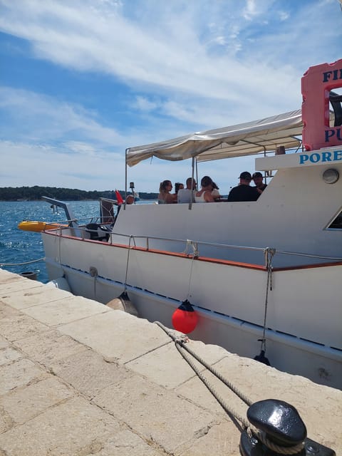 UMAG: Swimming&Panorama / Welcome Drink and Dolphin spotting - The dolphin search on the return journey