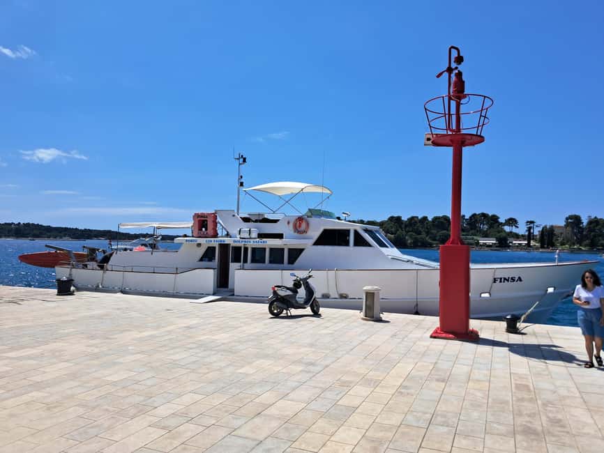 UMAG: Swimming&Panorama / Welcome Drink and Dolphin spotting - What $41 buys you
