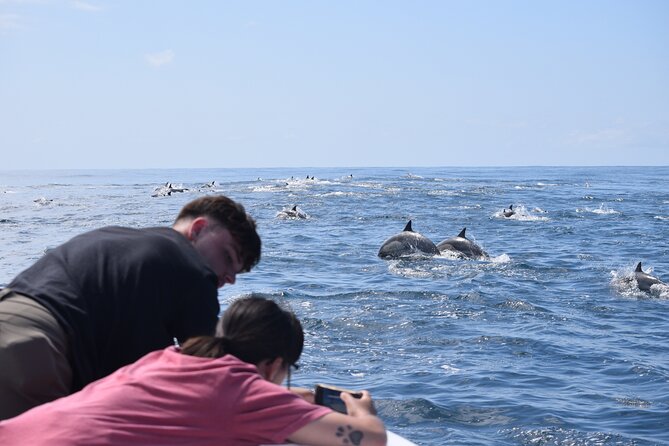 Up Close Dolphin & Whale Watching - Why the six-passenger boat changes the outing