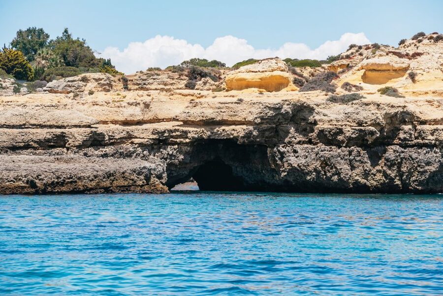 Vilamoura: Benagil Cave Boat Tour with Entry&Dolphin search - Should you book the Vilamoura Benagil tour?
