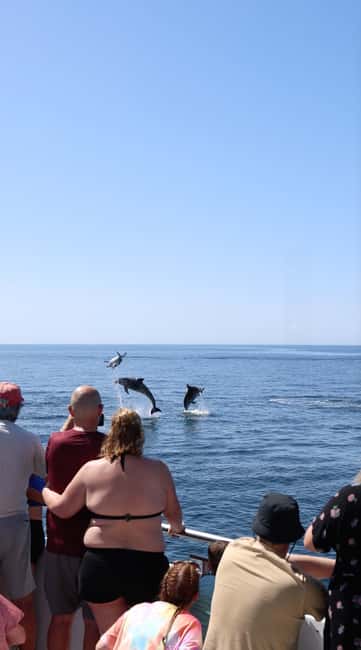 Vilamoura: Boat Tour Dolphin Quest & Marine Life Search - Setting out from Vilamoura Marina