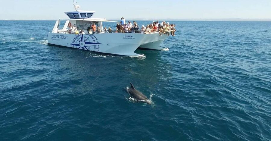 Vilamoura: Boat Tour Dolphin Quest & Marine Life Search - Searching the Algarve coast for marine life