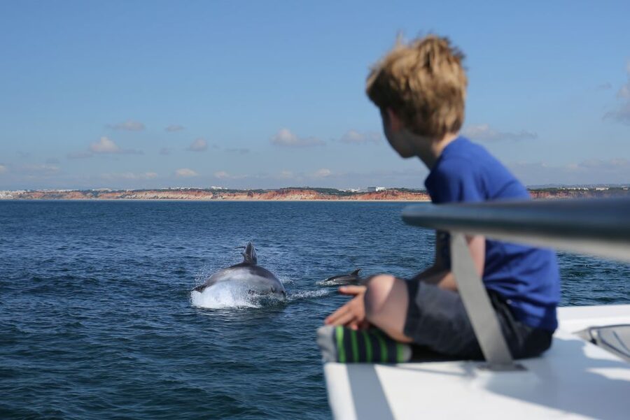 Vilamoura: Boat Tour Dolphin Quest & Marine Life Search - A catamaran built for looking around