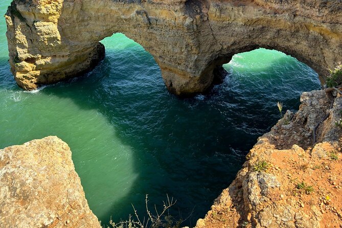 Vilamoura Tour to Benagil and the Dolphins - The dolphin question