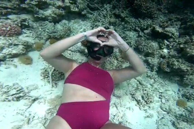 ViP Full Day Swimming With Dolphin Sea Trip With Lunch - Hurghada - Snorkeling Around Coral Reefs