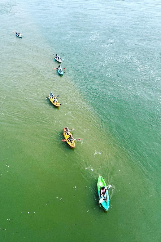 Virginia Beach: Dolphin Kayak Tour: This is a Workout! - Wildlife beyond the dolphins