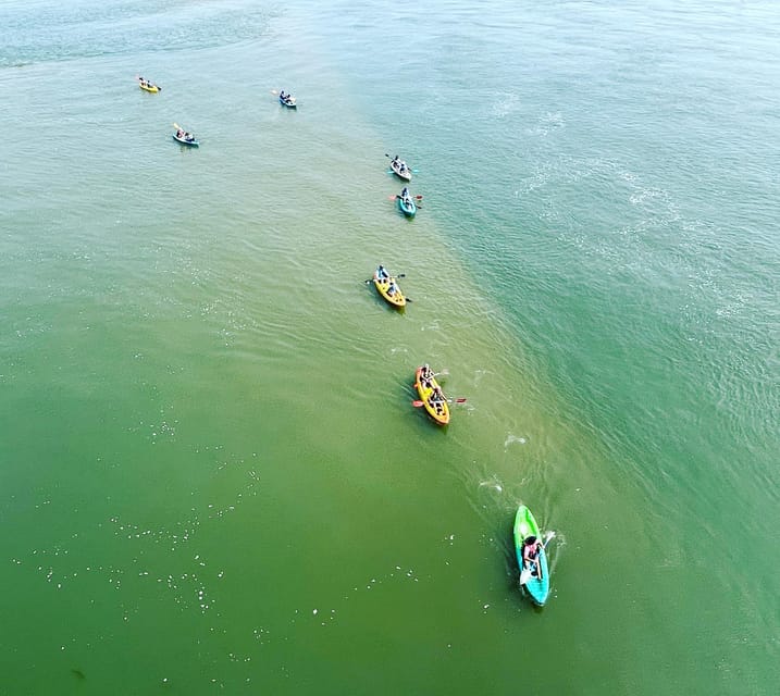 Virginia Beach: Dolphin Kayak Tour: This is a Workout! - What to wear and carry for a better outing
