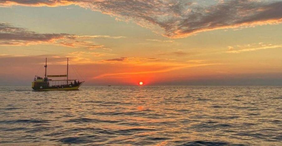 Vrsar: Dolphin Watching Boat Tour including Drinks - Booking flexibility and useful planning details
