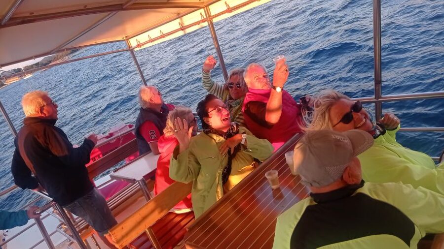 Vrsar: Dolphin Watching Boat Tour including Drinks - How much guiding should you expect?