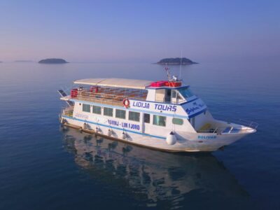 Vrsar: Dolphin Watching Boat Tour including Drinks