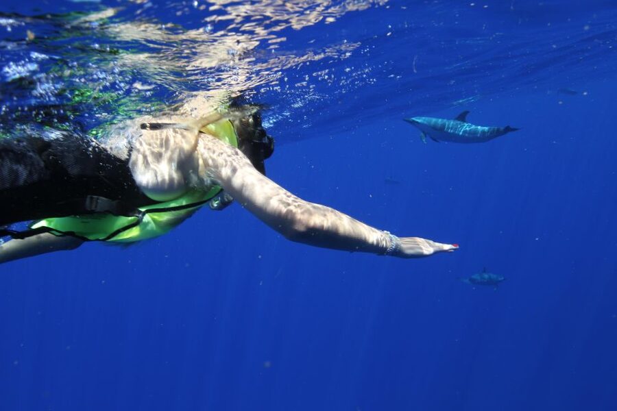 Waianae, Oahu: Swim with Dolphins (Semi-Private Boat Tour) - A Six-Passenger Boat Changes the Experience