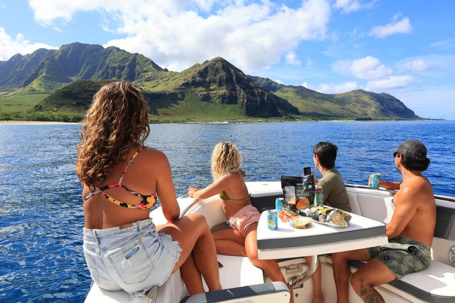 Waianae, Oahu: Swim with Dolphins (Semi-Private Boat Tour) - What the Praise Points To
