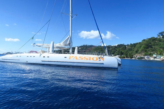 Waitukubuli Dolphin and Whale Watch in Dominica - The ride, weather, and comfort