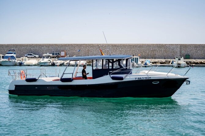 Walk and dolphin watching in Fuengirola + 1 drink - Setting out from Fuengirola marina