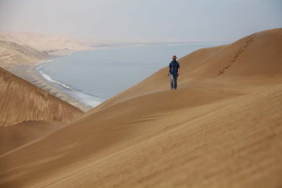 Walvis Bay: Dolphin Cruise, Pink Lakes and 4x4 Dune Drive - Pelican Point and the Cape Fur seals