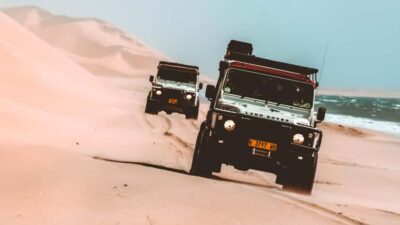 Walvis Bay: Dolphin Cruise, Pink Lakes and 4×4 Dune Drive