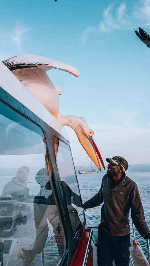Walvis Bay: Dolphin Cruise, Pink Lakes and 4x4 Dune Drive - Oysters, brunch, and the boat crew