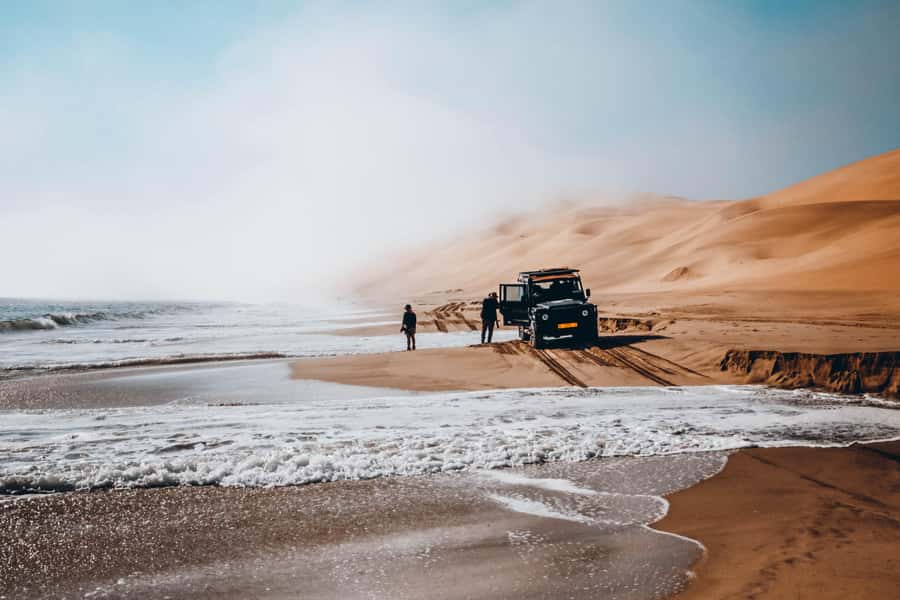 Walvis Bay: Dolphin Cruise, Pink Lakes and 4x4 Dune Drive - Flamingos and the Walvis Bay salt pans