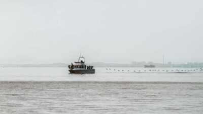 Walvis Bay: Namibian Coast Dolphin Cruise with Light Lunch