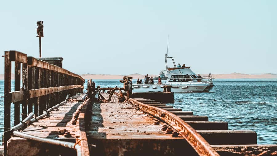 Walvis Bay: Namibian Coast Dolphin Cruise with Light Lunch - A respectful crew and useful personal touches