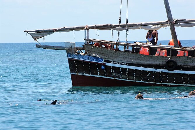 Wasini Dolphin Snorkeling - Booking details worth checking first