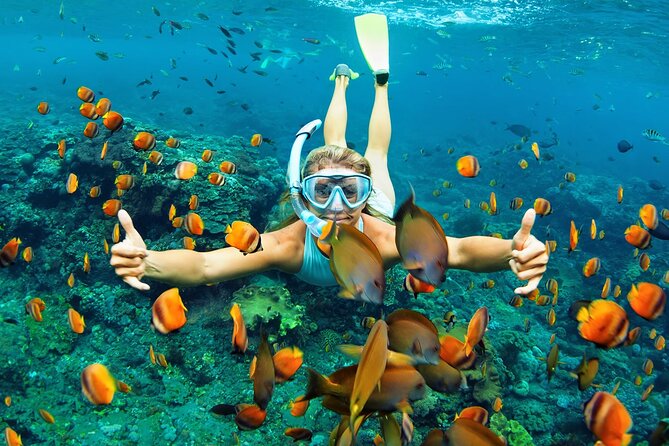 Wasini Dolphin Snorkeling - Looking for dolphins off the Kenyan coast
