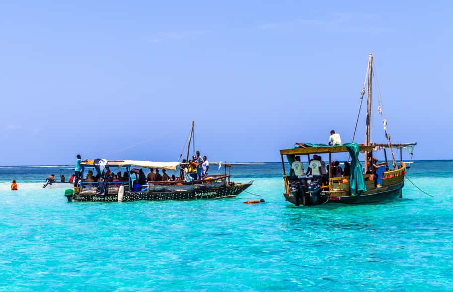Wasini Island: Dolphin Spotting & Snorkel at Kisite Mpunguti - Key points to know before booking