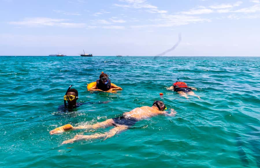 Wasini Island: Dolphin Spotting & Snorkel at Kisite Mpunguti - Snorkeling in the marine park