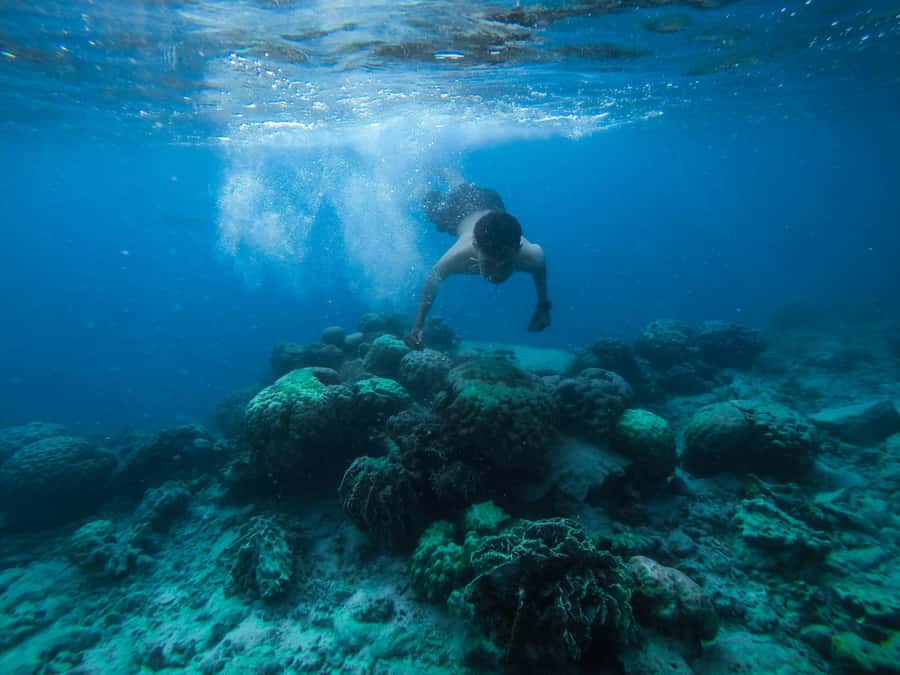 Watamu: Dolphin Watching and Snorkeling Boat Tour - Leaving Watamu Marine Park by boat