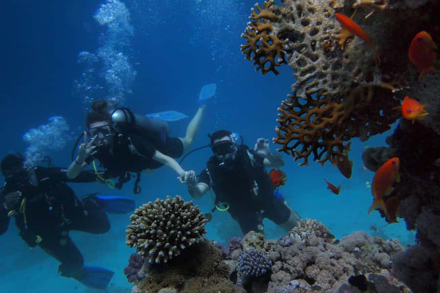 Watamu: Dolphin Watching and Snorkeling Boat Tour - Dolphin watching from the open water