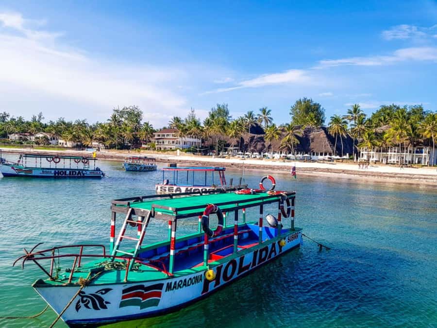 Watamu: Marine Park Snorkeling and Dolphin Spotting Tour - Key points to know before booking