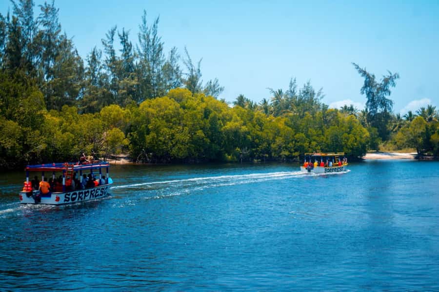 Watamu: Marine Park Snorkeling and Dolphin Spotting Tour - From hotel pickup to the Watamu coast
