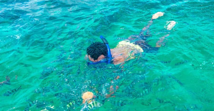 Watamu: Marine Park Snorkeling and Dolphin Spotting Tour - Mida Creek and the mangrove channels
