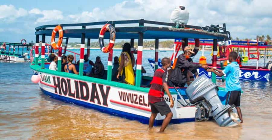 Watamu: Marine Park Snorkeling and Dolphin Spotting Tour - Who will enjoy this outing most