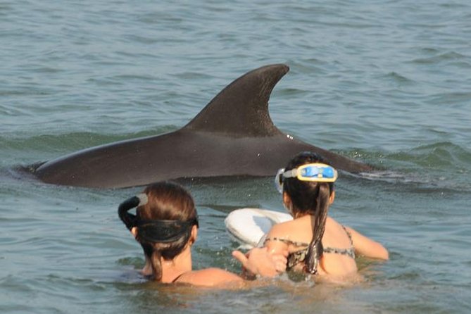 Watch and Swim with Dolphins in the Wild - Searching for pods with the hydrophone