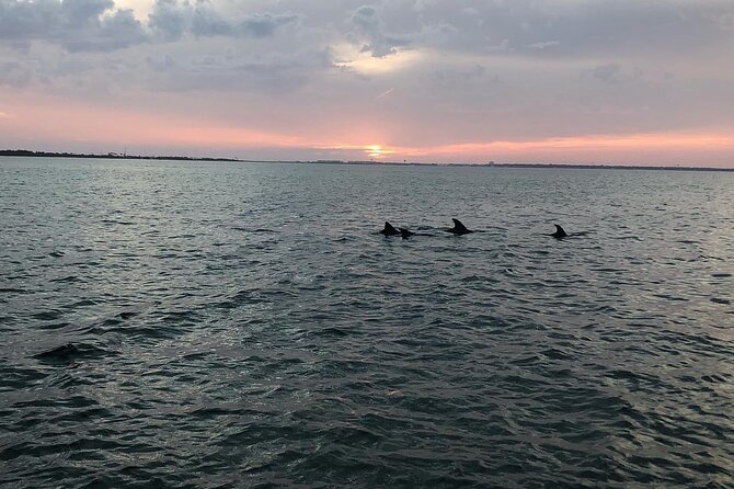 Waverunner Dolphin Tour - Rules, age limits, and weather concerns