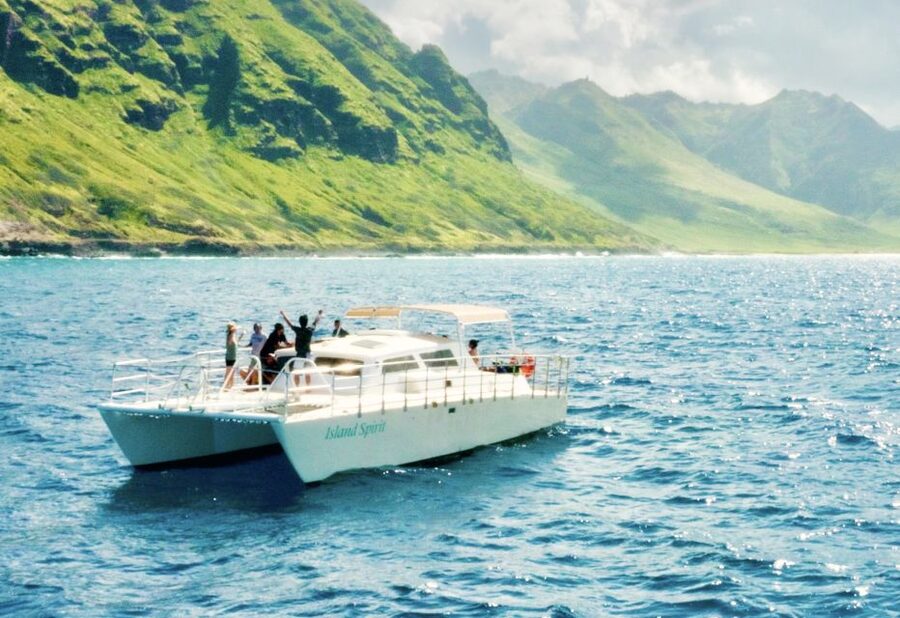 West O'ahu: Dolphin Watching and Snorkeling Catamaran Cruise - Dolphin watching without a guarantee