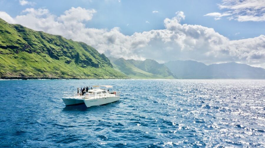 West O'ahu: Swim with Dolphins Catamaran Cruise - A spacious catamaran for the open coast