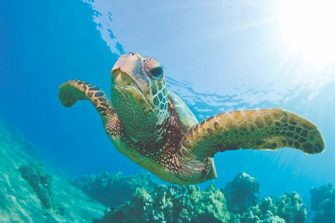 West Oahu Dolphin Watch and Snorkel Sail with Lunch - Leaving Waianae for Oahu’s Wild West Coast