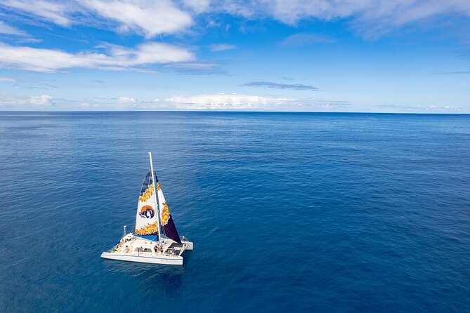 West Oahu Dolphin Watch and Snorkel Sail with Lunch - Snorkeling With Fish, Turtles, and Variable Water Conditions