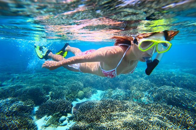 West Oahu Dolphin Watch and Snorkel Sail with Lunch - Breakfast, Sandwiches, and an Open Bar