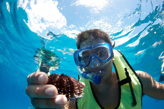 West Oahu Dolphin Watch and Snorkel Sail with Lunch - Who Should Book This Catamaran Trip?